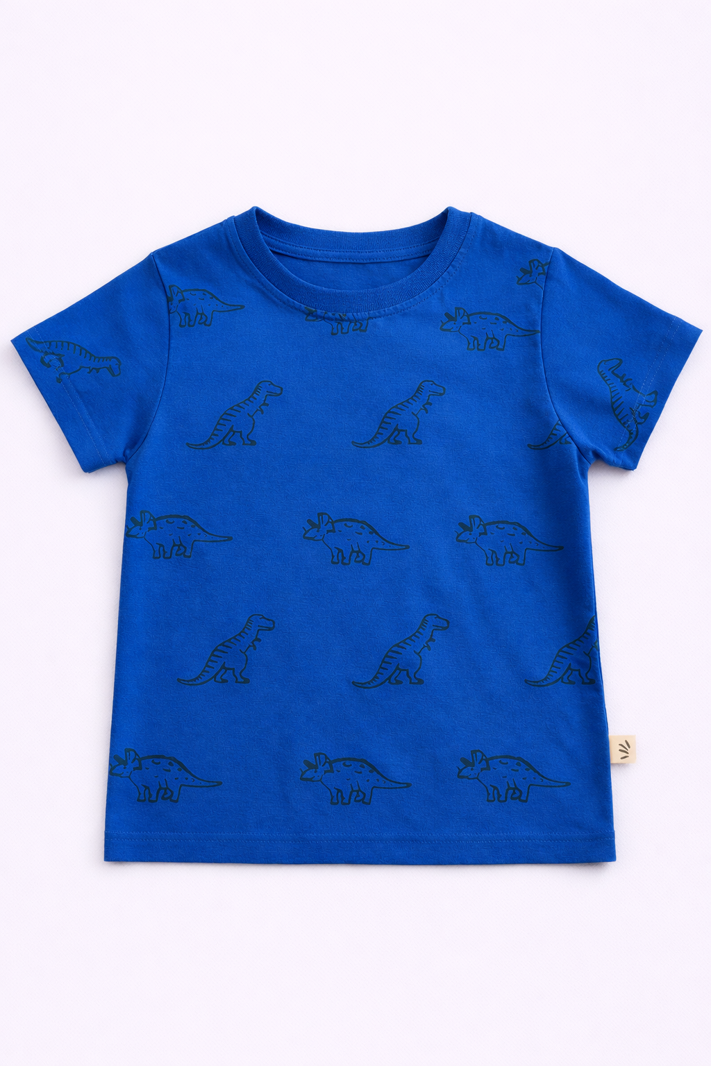 Boys Cotton T-Shirt – Dino Print Blue