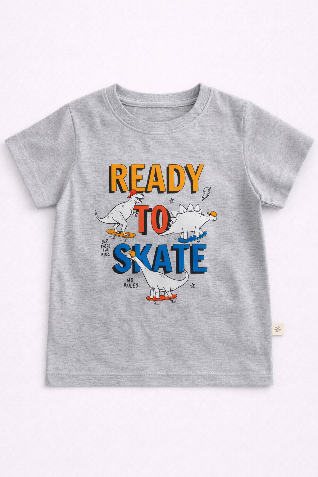 Boys Cotton T-Shirt – Ready To Skate Print - Grey