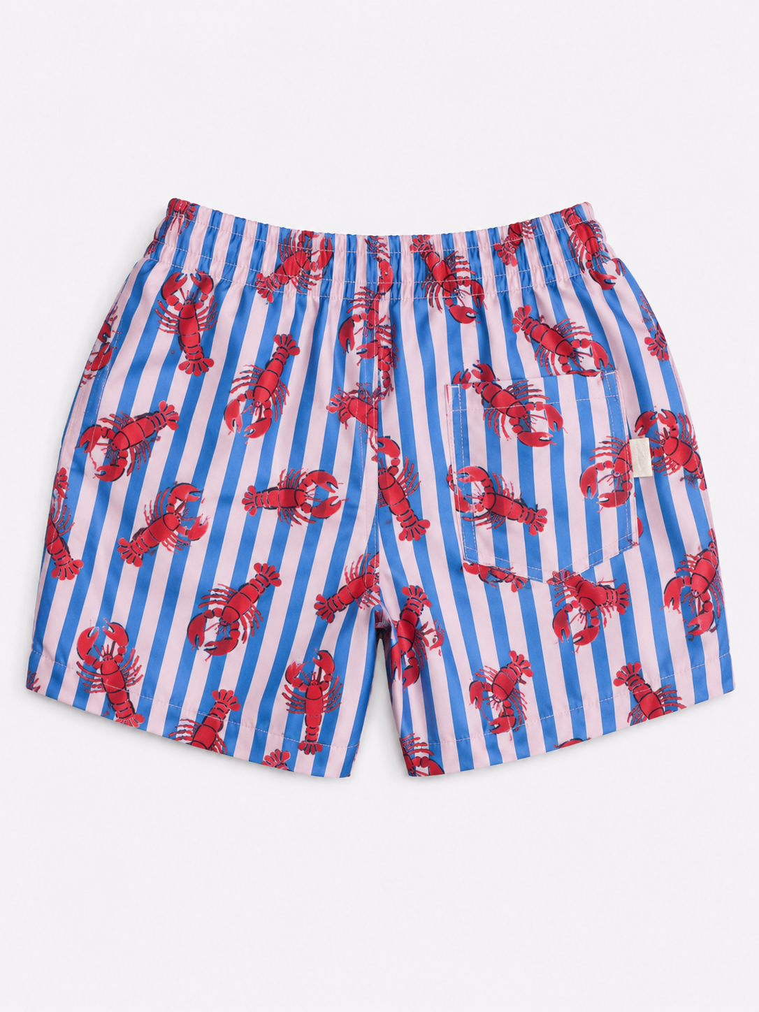 Boys Swim Shorts - Striped Lobster Print